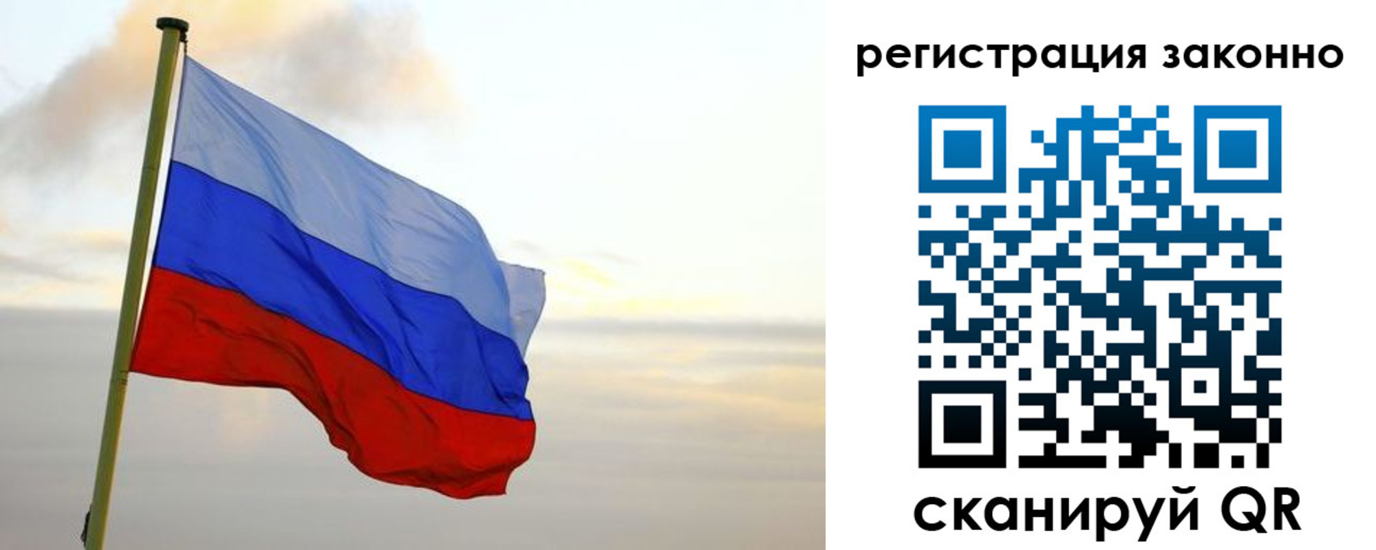 прописка поиск в Сафоново